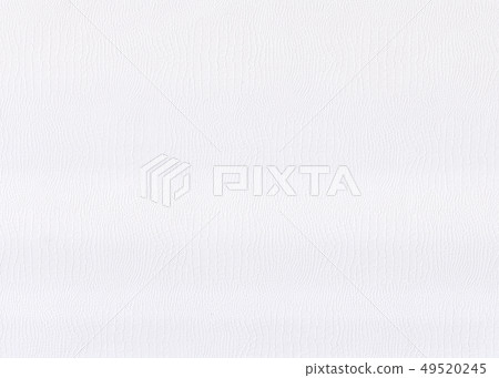 snake leather white paper texture 49520245