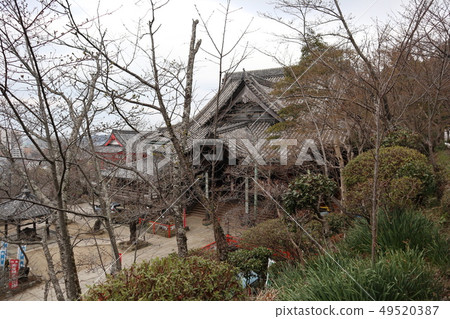 Wakayama Ki Mitsui-ji Temple in early spring 49520387