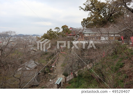 Wakayama Ki三井寺在早春 49520407