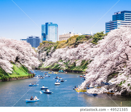 Tokyo's Imperial Palace / Chidorigafuchi in full bloom 49521385