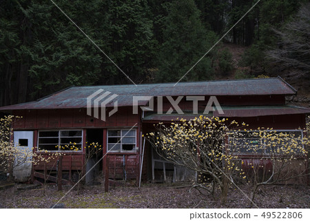 Mitsumata group of people hiking Mitsumata group of people hiking 49522806