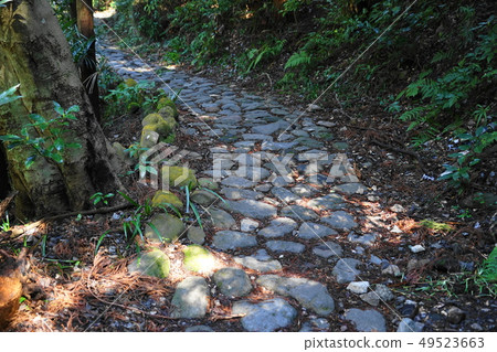 3月箱根舊高速公路,鵝卵石路線05江戶時代的鵝卵石 3月箱根舊高速公路,鵝卵石路線05江戶時代的鵝卵石 49523663