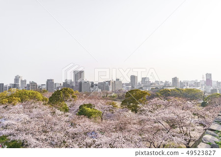 從福岡城堡Tenmondai站點查看 從福岡城堡Tenmondai站點查看 49523827