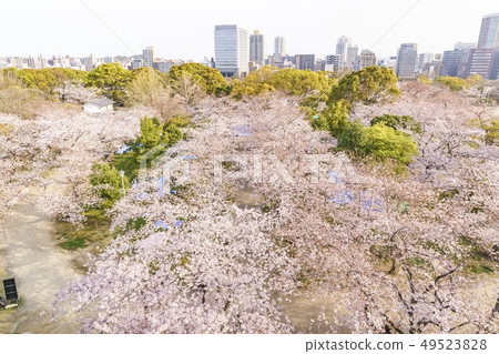 從福岡城堡Tenmondai站點查看 從福岡城堡Tenmondai站點查看 49523828