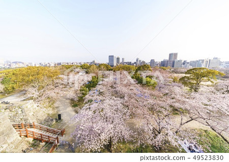 View from the Fukuoka Castle Tenmondai Site View from the Fukuoka Castle Tenmondai Site 49523830