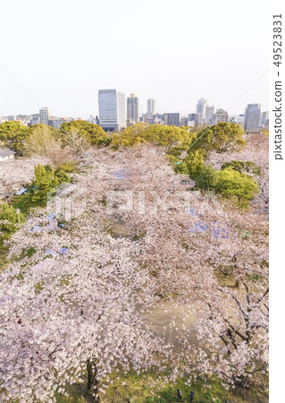 View from the Fukuoka Castle Tenmondai Site View from the Fukuoka Castle Tenmondai Site 49523831