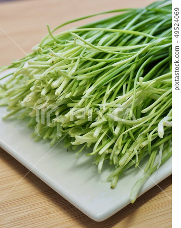 Korean vegetable leeks 49524069