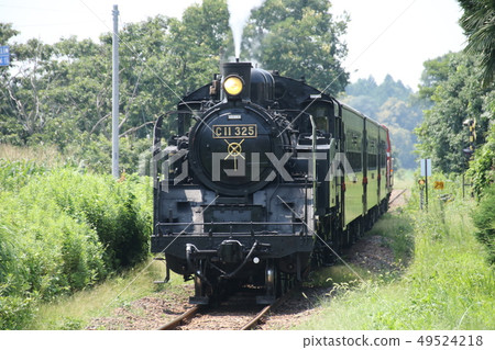 C11325 SL也是 C11325 SL也是 49524218