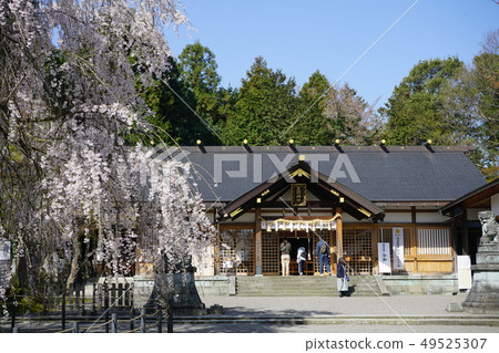 Ashuba Shrine 49525307