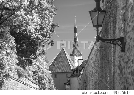 beautiful photos of Tallinn beautiful photos of Tallinn 49525614