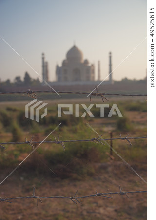 Taj Mahal Taj Mahal 49525615
