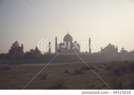 Taj Mahal 49525616