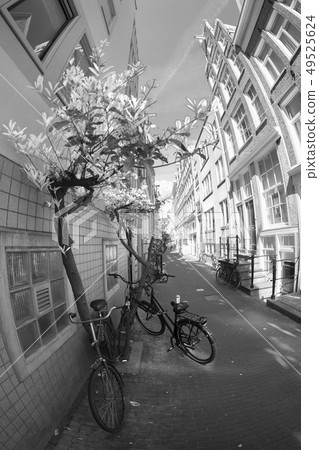 bike is parked near the house in Amsterdam. bike is parked near the house in Amsterdam. 49525624