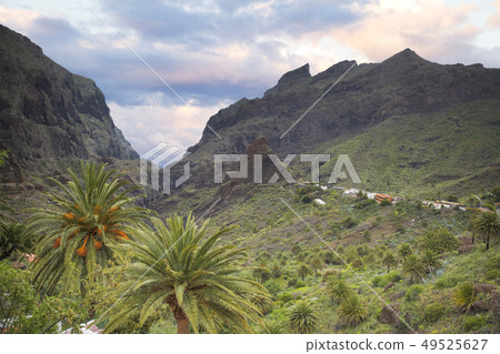 Mountain landscape on tropical island Tenerife Mountain landscape on tropical island Tenerife 49525627
