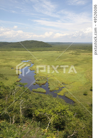 北海道釧路沼澤地 北海道釧路沼澤地 49526086