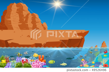 coral, fish, mountain 49526496
