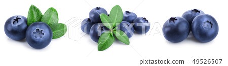 fresh blueberry with leaves isolated on white background closeup. Set or collection fresh blueberry with leaves isolated on white background closeup. Set or collection 49526507