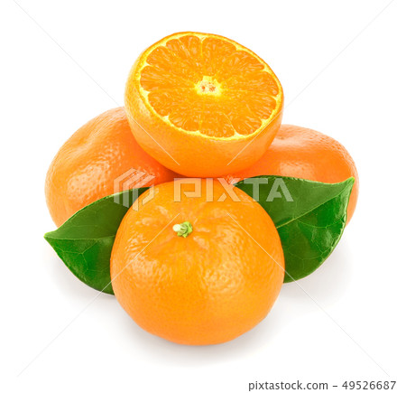 tangerine or mandarin fruit with leaves isolated on white background tangerine or mandarin fruit with leaves isolated on white background 49526687