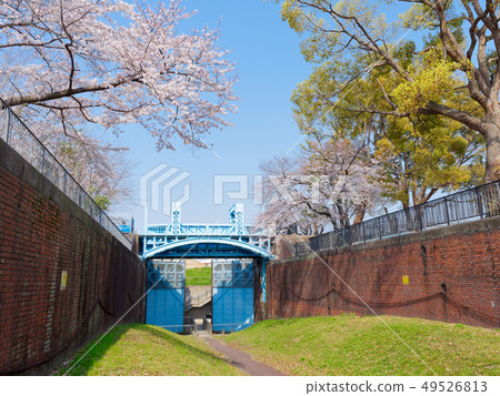Osaka Blooming ema no komon (formerly Dai-ichimon, an Important Cultural Property) 49526813