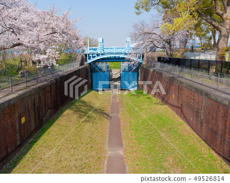 Osaka Blooming ema no komon (formerly Dai-ichimon, an Important Cultural Property) 49526814
