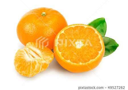 tangerine or mandarin fruit with leaves isolated on white background tangerine or mandarin fruit with leaves isolated on white background 49527262