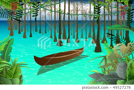 mangrove forest, boat, nature 49527276
