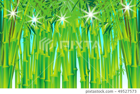 bamboo, leaf, japan 49527573