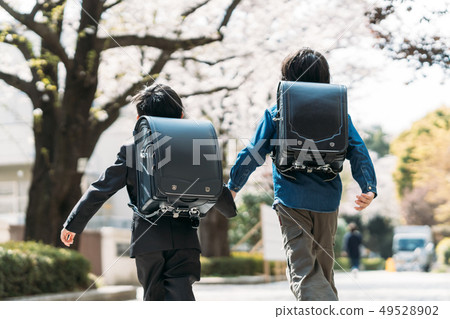 小學前輩和一年級學生上學手牽著手在櫻桃樹下 小學前輩和一年級學生上學手牽著手在櫻桃樹下 49528902
