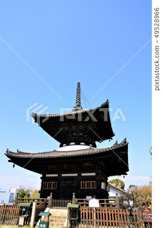 在大阪Uemachi高原周圍散步 49528966