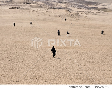 Tottori Walk in the early spring desert (dune) Tottori Walk in the early spring desert (dune) 49528989