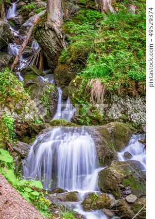 Forest stream running over rocks, small waterfall 49529374