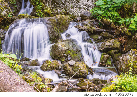 Forest stream running over rocks, small waterfall 49529375