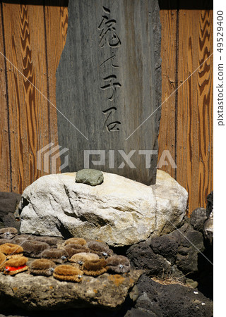 Honmoku“Tome Konoishi Shrine” Honmoku“Tome Konoishi Shrine” 49529400