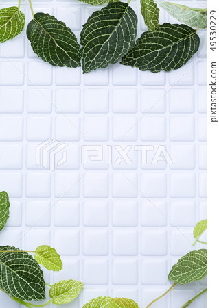 Tile Tile 49530229