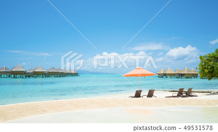 Tropical resort: beach 49531578