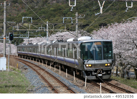 Kishu Road Express that runs through Yamanakakei in full bloom 49532036