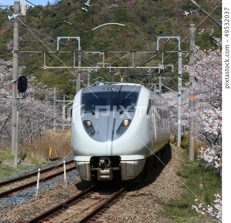Express Kuroshio running through Yamanakakei in full bloom Express Kuroshio running through Yamanakakei in full bloom 49532037
