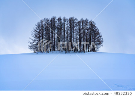 “北海道”美瑛山/冬季溫和七 49532350