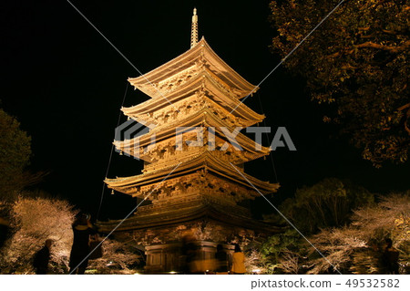 Toji Light Up 49532582