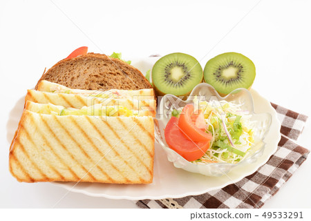 Delicious sandwich and salad 49533291