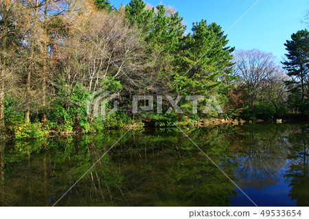 春天 春天 49533654