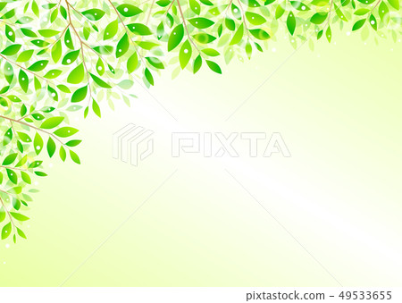 背景材料_木葉若葉青葉鮮綠 49533655
