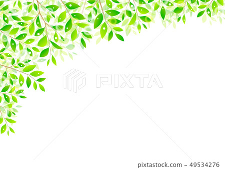 背景材料_木葉若葉青葉鮮綠 49534276