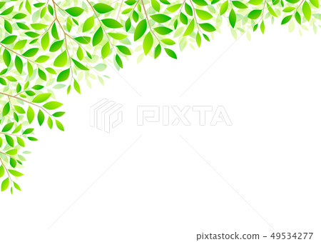 背景材料_木葉若葉青葉鮮綠 49534277