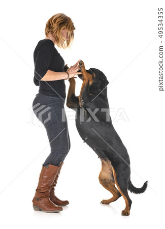 rottweiler and woman 49534355