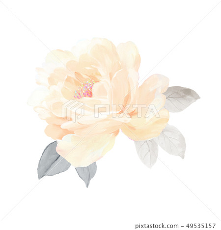 Blooming roses and peony 49535157