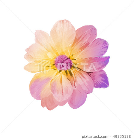 Blooming roses and peony 49535158