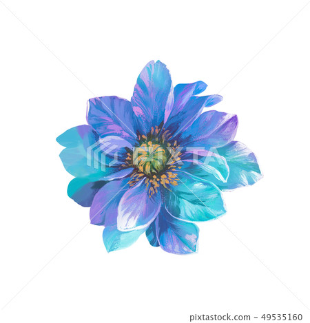 Blooming roses and peony 49535160