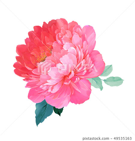 Blooming roses and peony 49535163