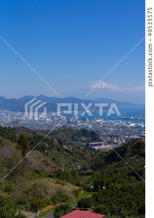 NIPPON NIPPON 49535575